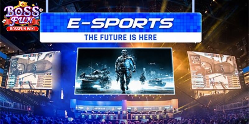 Nền tảng cá cược hấp dẫn và chất lượng hàng đầu